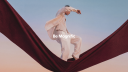 Magnific Discord Server Banner