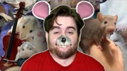 Tugg Hubb Discord Server Banner