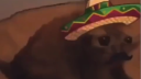 Oh No Cringe Discord Server Banner