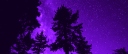 ✨. Starlight™ Discord Server Banner