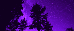 ✨. Starlight™ Discord Server Banner