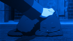 💞Kociaki Discord Server Banner