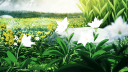 Harmony Discord Server Banner