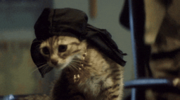 ᴍsᴄ ᴄʜᴀɴɴᴇʟ Discord Server Banner
