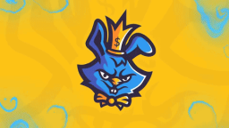 ALLIANCE 0 TAXA! 🔥🌟 Discord Server Banner