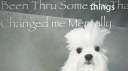 Library of Aletheia Discord Server Banner