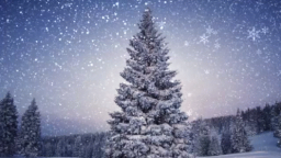 Library of Aletheia ⛄ Discord Server Banner