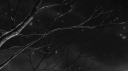 /thrills Discord Server Banner