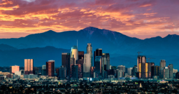 South California Discord Server Banner