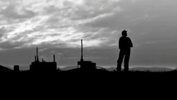 Alpha DayZ™ Discord Server Banner