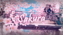 𝙎𝙖𝙠𝙪𝙧𝙖𝘾𝙇𝙉𝙓🌺 Discord Server Banner