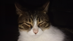 ATATV44 #Huzun Yılı Discord Server Banner