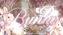 𝒟𝓉𝒾 ℬunny ୨𝑒 Discord Server Banner