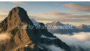 roots Discord Server Banner