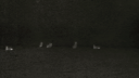 /sweetener ꕤ ariana grande Discord Server Banner