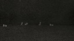 /sweetener ꕤ ariana grande Discord Server Banner