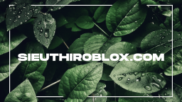 Sieuthiroblox.com Discord Server Banner