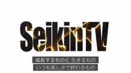 みっちー鯖 Discord Server Banner