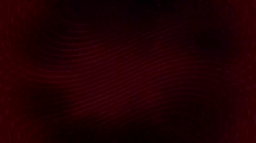 Cars and Editing club Discord Server Banner