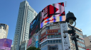 多言語鯖 (Multilingualism) Discord Server Banner