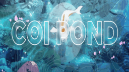 Coi Pond 🎏🌸🆑❤ Discord Server Banner