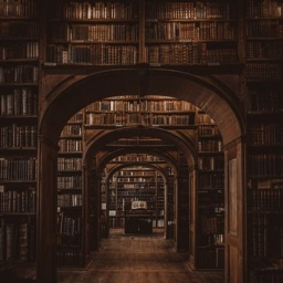 ๐๐๐ซ๐ข๐๐๐ง ๐๐ข๐ฅ๐ฅ ๐๐๐๐๐๐ฆ๐ฒ Discord Server Banner