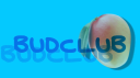 BudClub Discord Server Banner