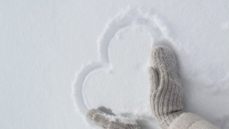 𐙚. 𝐅rozen 𝐅eeling Discord Server Banner