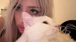 /NIGHTERS-LAB - EGIRLS & ANIME . Discord Server Banner
