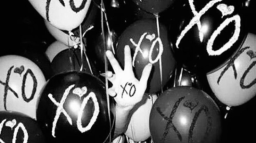.gg/abel   ׅ   xo tag   ׅ    stox Discord Server Banner