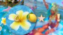 ๐โ ห ีกแฅฒffl๐เบฃ โ โฆ ๐๐๐๐๐๐ sแฅmmแฅฑr ! โ ห Discord Server Banner