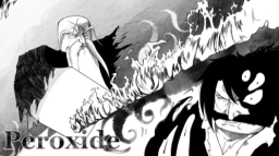 Peroxide FR Discord Server Banner