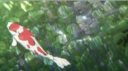 °❀⋆Silly Safe Space (SSS).ೃ࿔* Discord Server Banner