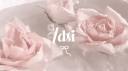 ⋆᠀𓏲˚ dti ribbons Discord Server Banner