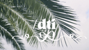⋆᠀𓏲˚ dti ribbons Discord Server Banner