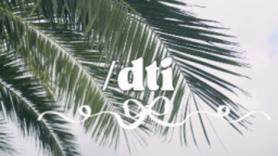 โแ ๐ฒห dti ribbons Discord Server Banner