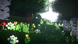 โ SMP - MINECRAFT ๐ด Discord Server Banner