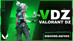 VALORANT DZ Discord Server Banner