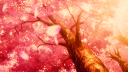 Yuka 🏮 #S2 Discord Server Banner