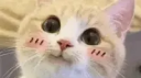 Eric Parker Discord Server Banner