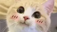 Eric Parker Discord Server Banner