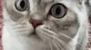 Eric Parker Discord Server Banner