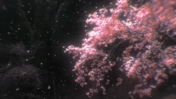 เผจโงโ ๐๐ฉ๐ฆ ๐๐ฐ๐ค๐ช๐ข๐ญ ๐๐ถ๐ฃ เผโงโ Discord Server Banner