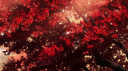 ༨‧₊ 𝘛𝘩𝘦 𝘚𝘰𝘤𝘪𝘢𝘭 𝘏𝘶𝘣 ༉‧₊ Discord Server Banner