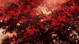 เผจโงโ ๐๐ฉ๐ฆ ๐๐ฐ๐ค๐ช๐ข๐ญ ๐๐ถ๐ฃ เผโงโ Discord Server Banner