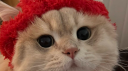 souls buddies Discord Server Banner
