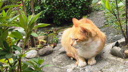 souls buddies Discord Server Banner