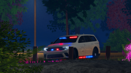 California Highway Patrol I CSRP Discord Server Banner