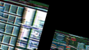 Jaylen & King Discord Server Banner