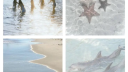 🐸 social pond🪷 Discord Server Banner